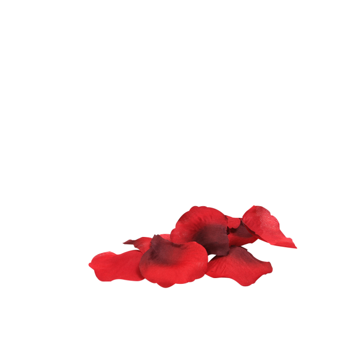 04f968022de1e2f9e50a5667c9445919.png