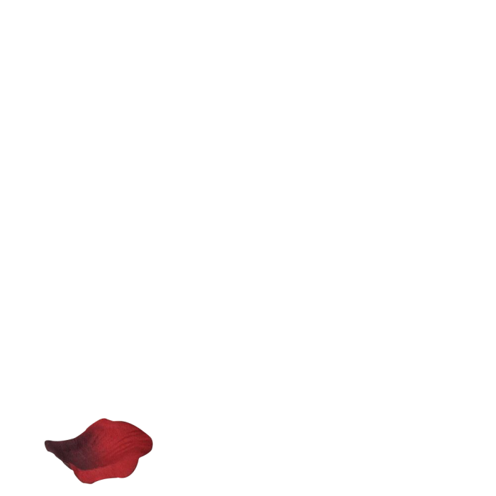 79e1f9c73c100fef4a0dfeb9e018667e.png